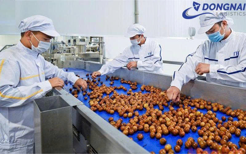 Quy trình xuất khẩu trái cây sấy