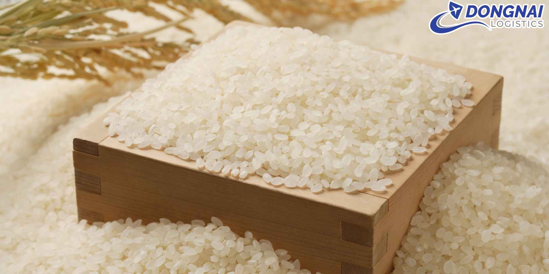 Xuất Khẩu Gạo Việt Nam Sang Úc – Hạt Ngọc Việt Chinh Phục Xứ Chuột Túi