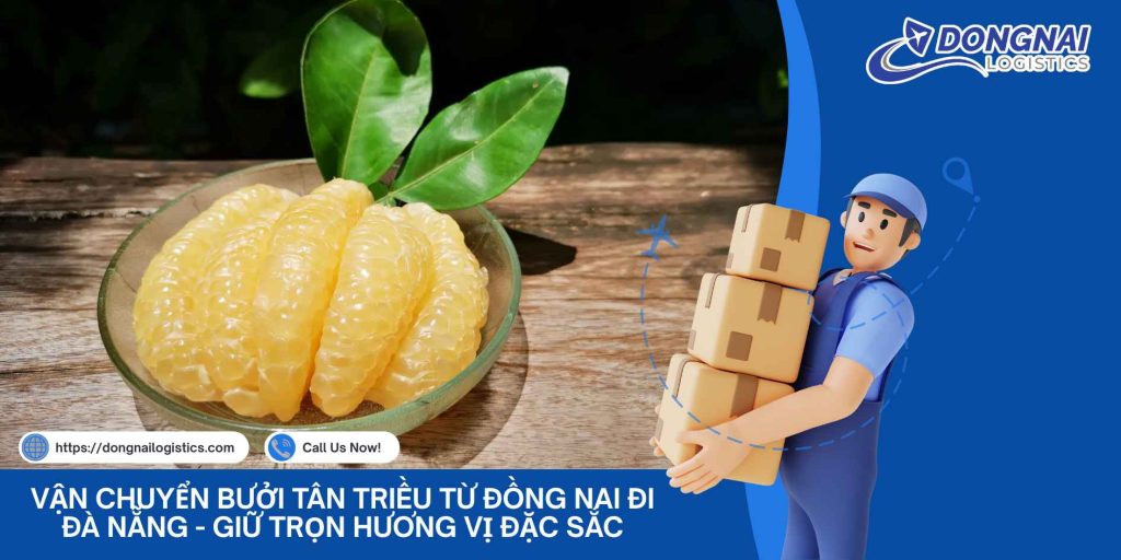Vận Chuyển Bưởi Tân Triều Từ Đồng Nai Đi Đà Nẵng - Giữ Trọn Hương Vị Đặc Sắc Miền Đông