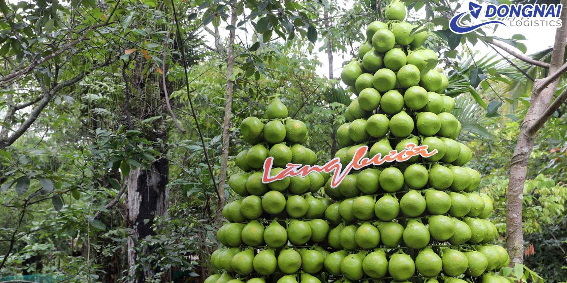 Vận Chuyển Bưởi Tân Triều Từ Đồng Nai Đi Đà Nẵng - Giữ Trọn Hương Vị Đặc Sắc Miền Đông