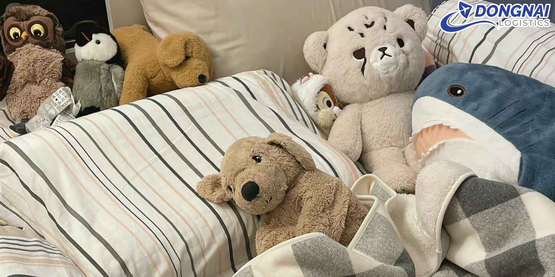 Gửi Gấu Bông Handmade Từ Việt Nam Sang Đức – Đảm Bảo An Toàn