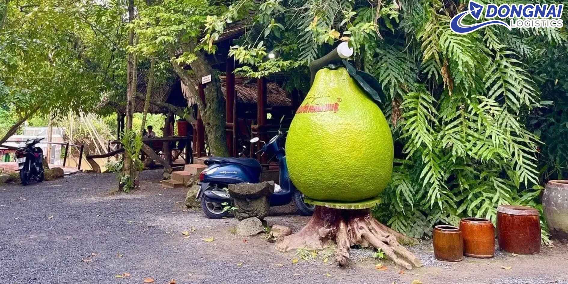 Vận Chuyển Bưởi Tân Triều Từ Đồng Nai Đi Đà Nẵng - Giữ Trọn Hương Vị Đặc Sắc Miền Đông