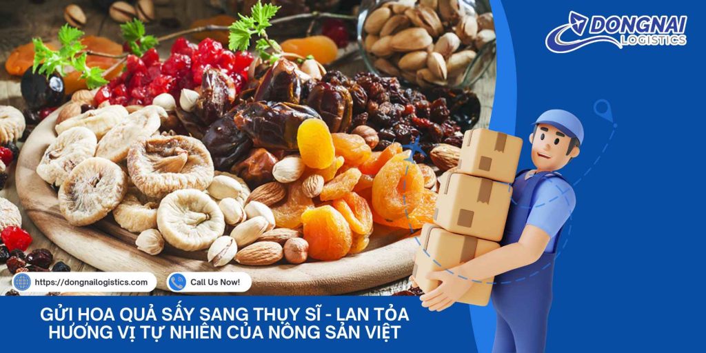 Gửi Hoa Quả Sấy Sang Thụy Sĩ - Lan Tỏa Hương Vị Tự Nhiên Của Nông Sản Việt