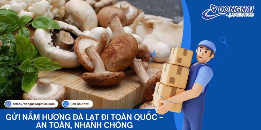 Gửi Nấm Hương Đà Lạt Đi Toàn Quốc – An Toàn, Nhanh Chóng, Giữ Nguyên Hương Vị