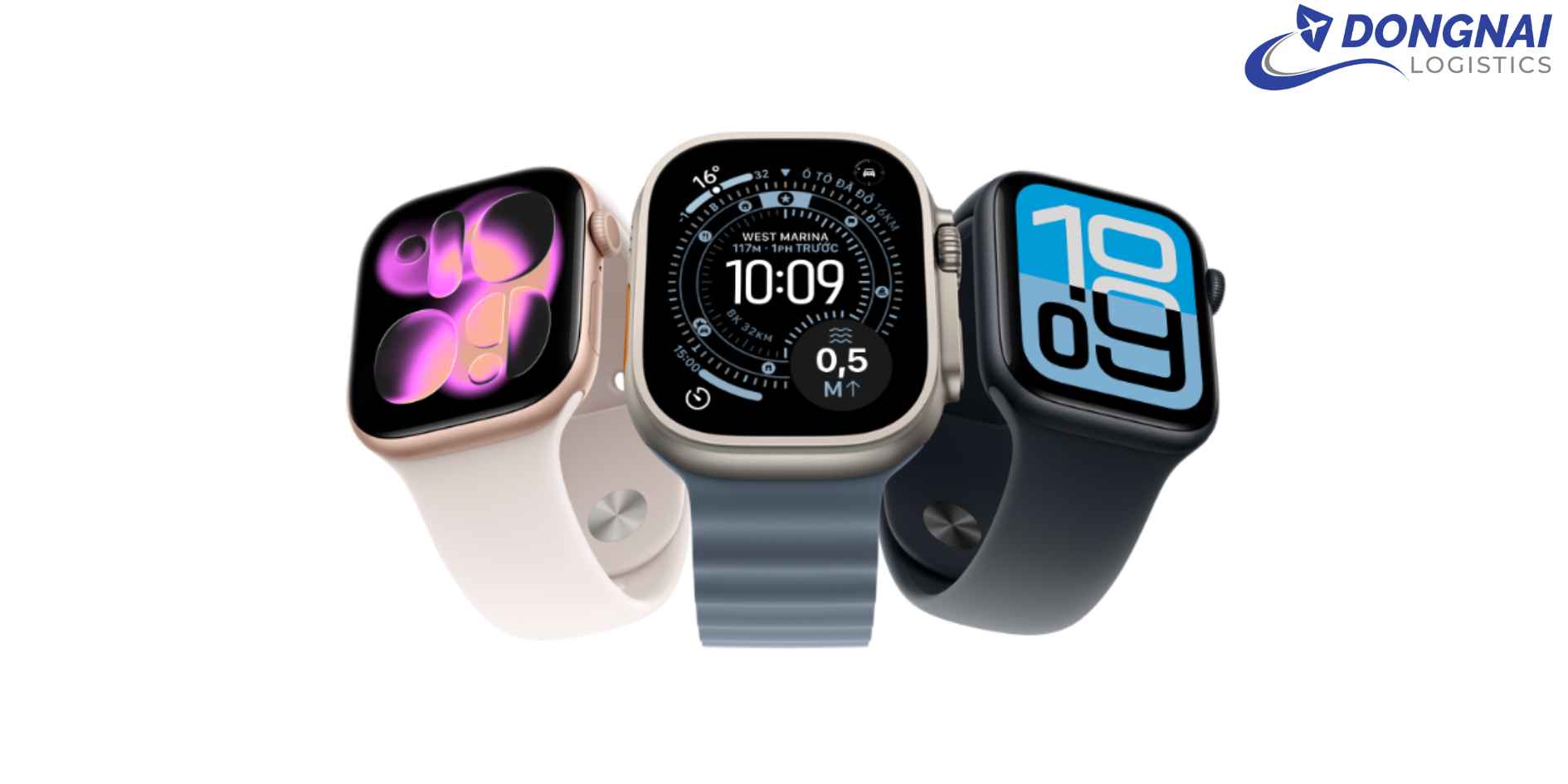 Vận Chuyển Đồng Hồ Từ Đồng Nai Sang Nhật Bản - Nhanh Chóng, An Toàn