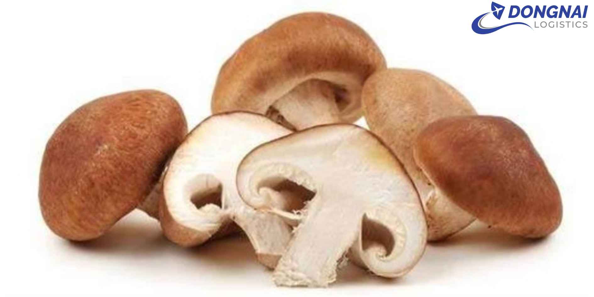 Gửi Nấm Hương Đà Lạt Đi Toàn Quốc – An Toàn, Nhanh Chóng, Giữ Nguyên Hương Vị