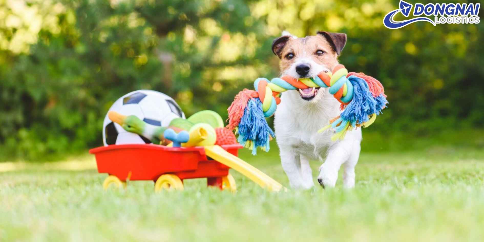 Vận Chuyển Đồ Chơi Thú Cưng Đi Đan Mạch - Kết Nối Niềm Vui Nhỏ Bé Từ Việt Nam