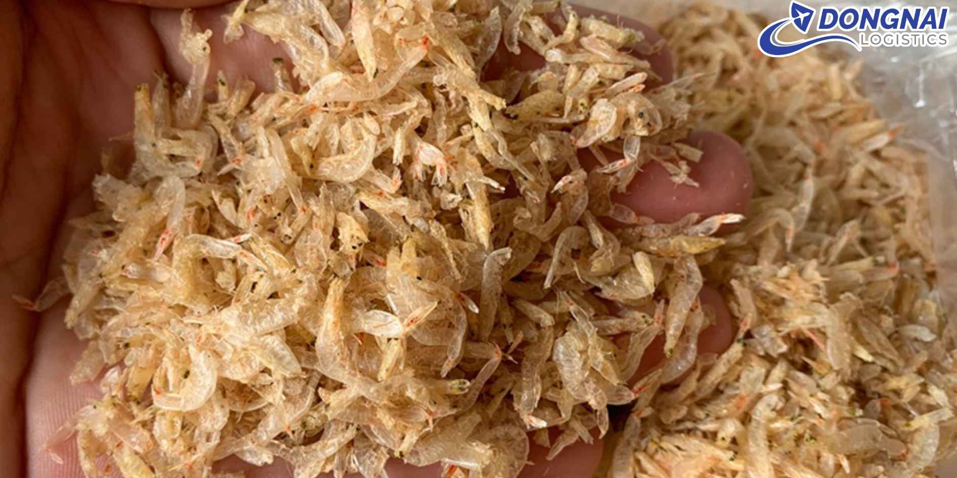 Vận Chuyển Tép Khô Từ Việt Nam Sang Hy Lạp – Giữ Trọn Hương Vị Đặc Sản Việt