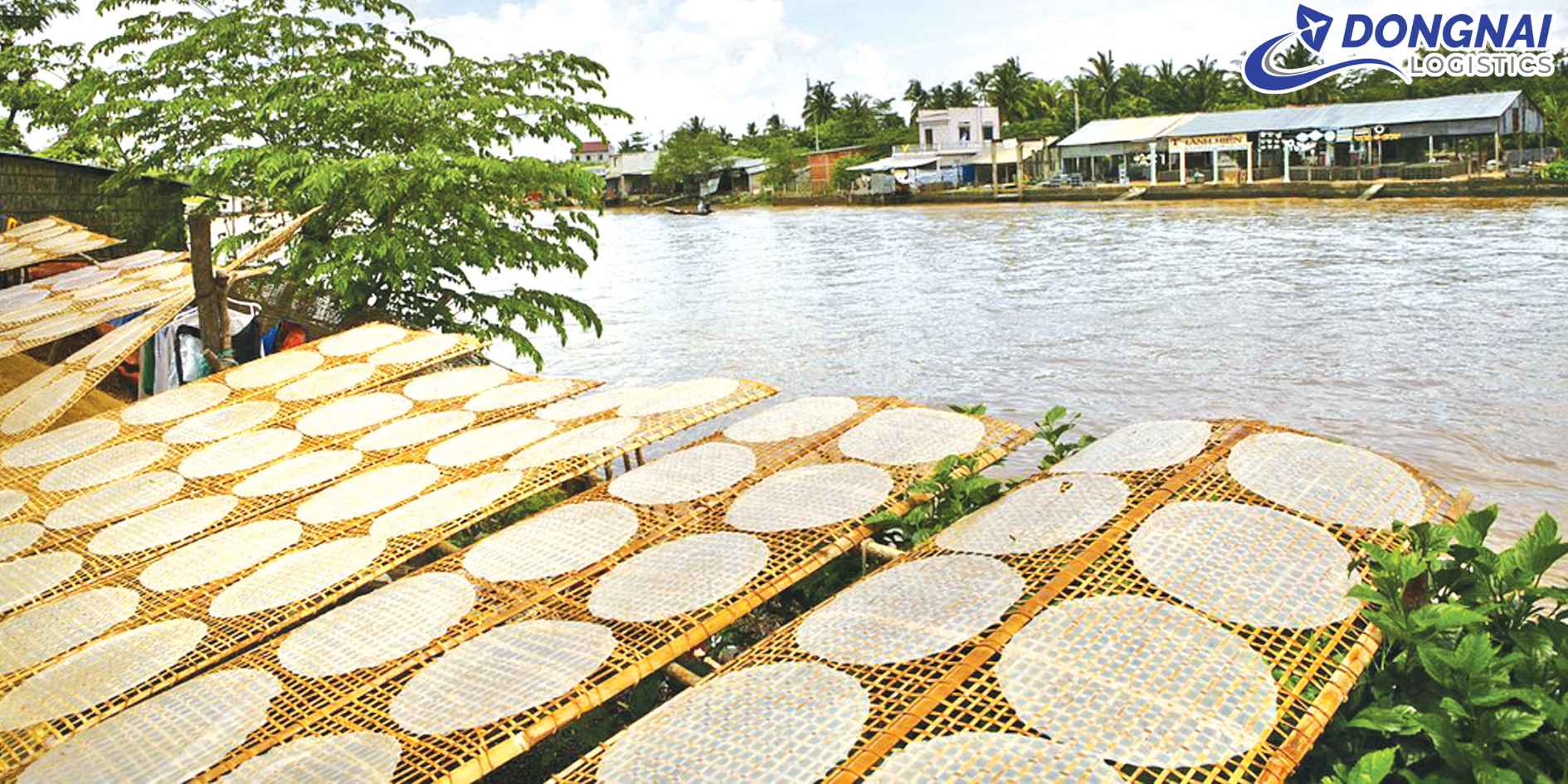 Vận Chuyển Bánh Tráng Phơi Sương Sang Đức – Giữ Độ Mềm Dẻo Tự Nhiên