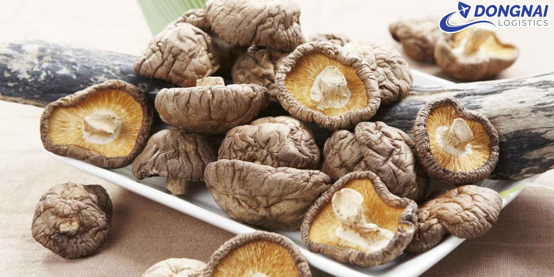 Gửi Nấm Hương Đà Lạt Đi Toàn Quốc – An Toàn, Nhanh Chóng, Giữ Nguyên Hương Vị