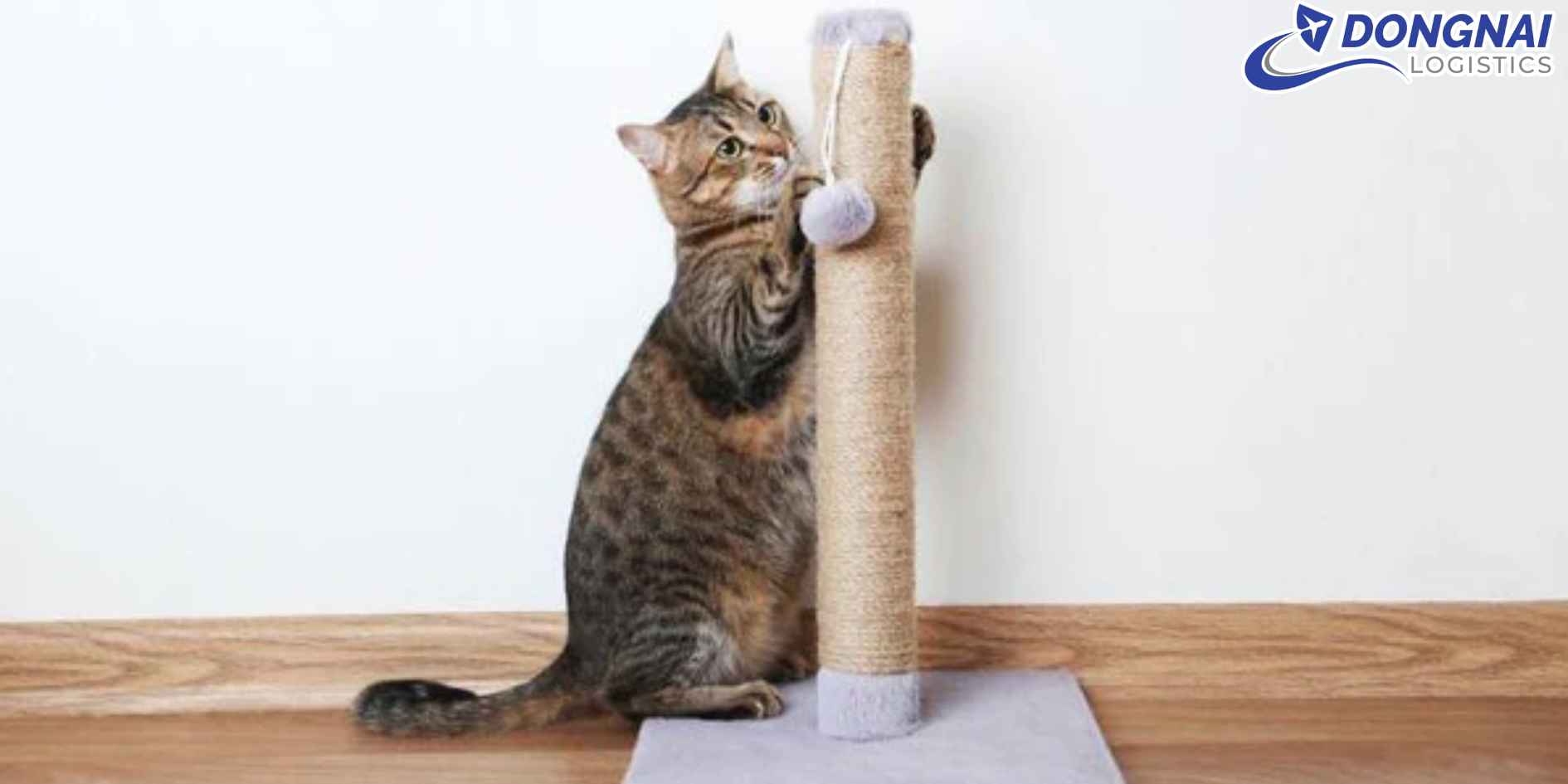 Vận Chuyển Đồ Chơi Thú Cưng Đi Đan Mạch - Kết Nối Niềm Vui Nhỏ Bé Từ Việt Nam