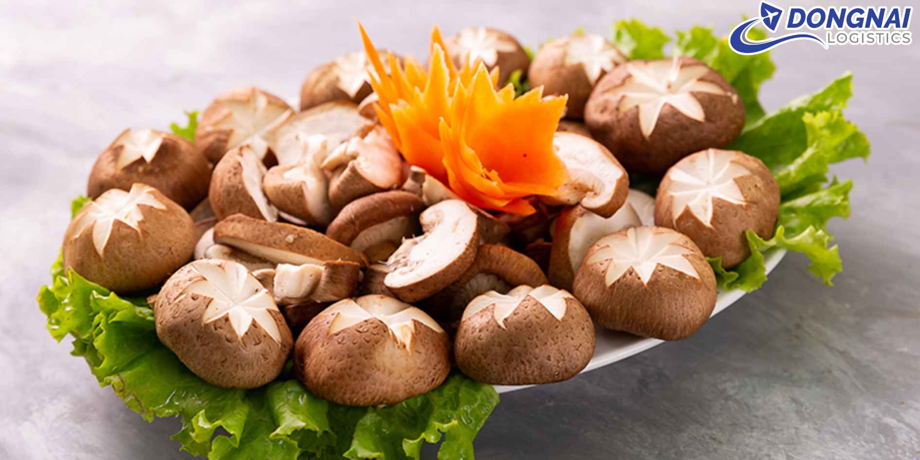 Gửi Nấm Hương Đà Lạt Đi Toàn Quốc – An Toàn, Nhanh Chóng, Giữ Nguyên Hương Vị