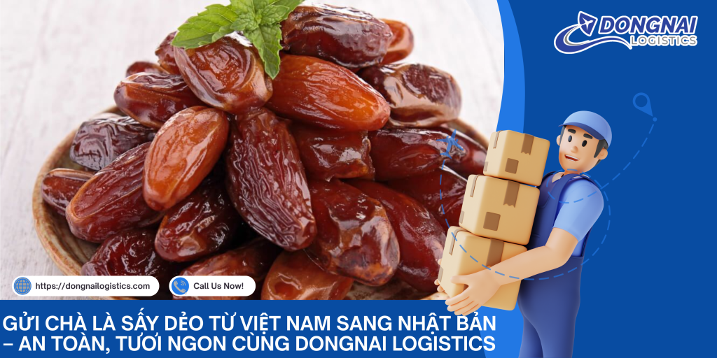 Gửi Chà Là Sấy Dẻo Từ Việt Nam Sang Nhật Bản – An Toàn, Tươi Ngon Cùng DongNai Logistics