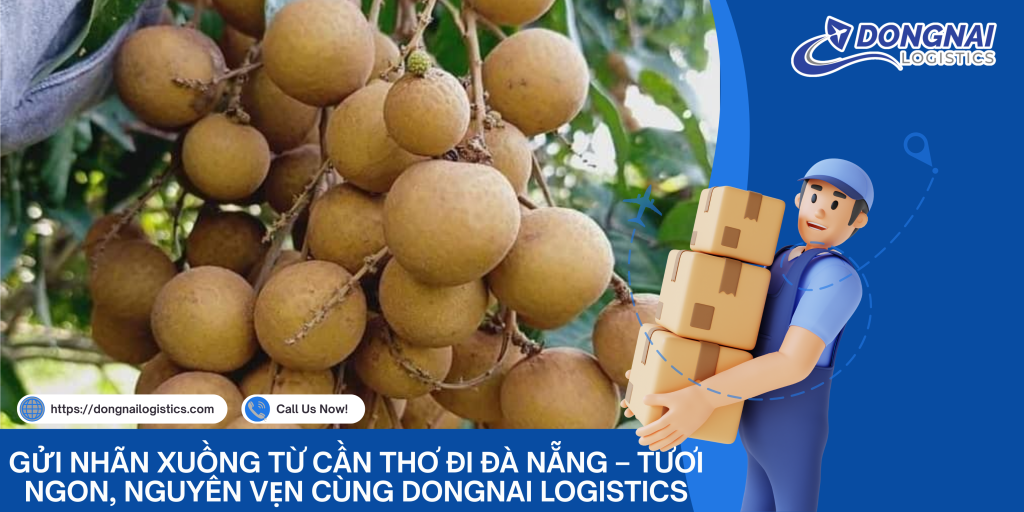 Gửi Nhãn Xuồng Từ Cần Thơ Đi Đà Nẵng – Tươi Ngon, Nguyên Vẹn Cùng DongNai Logistics