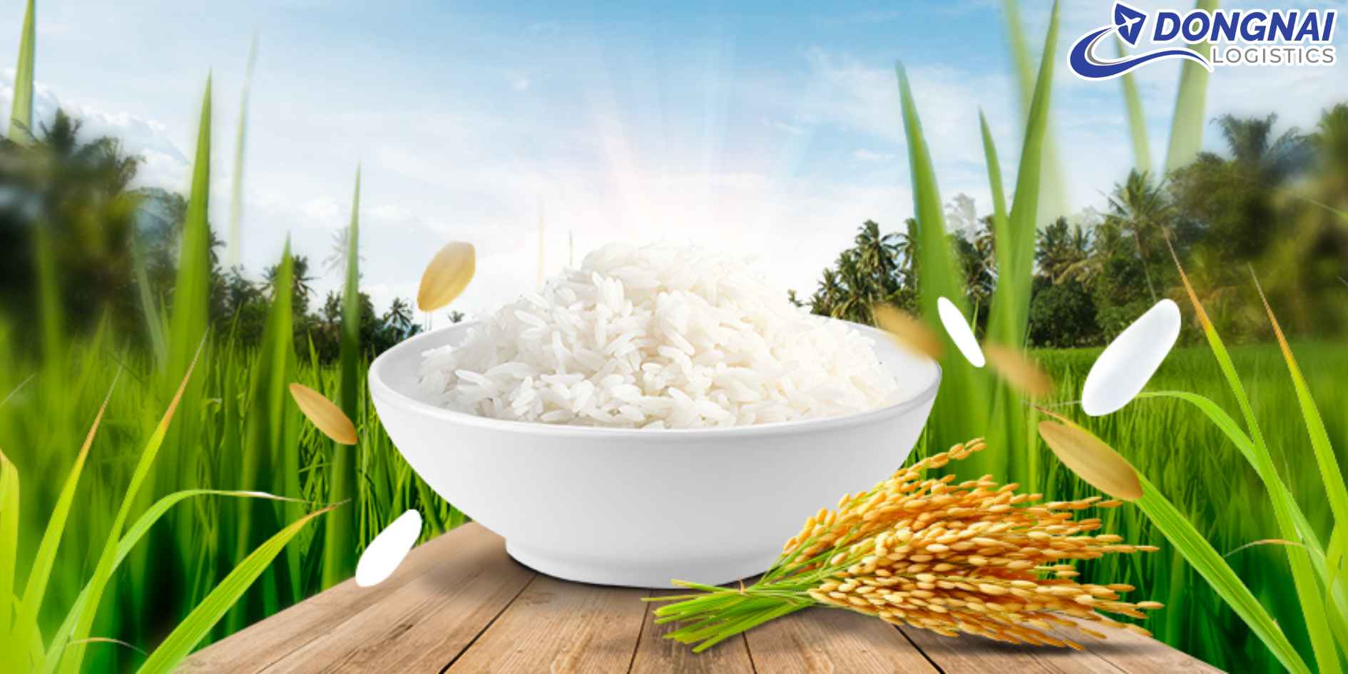 Vận Chuyển Gạo ST25 Từ Việt Nam Sang Pháp Cho Du Học Sinh – Giữ Trọn Hương Vị Cơm Việt