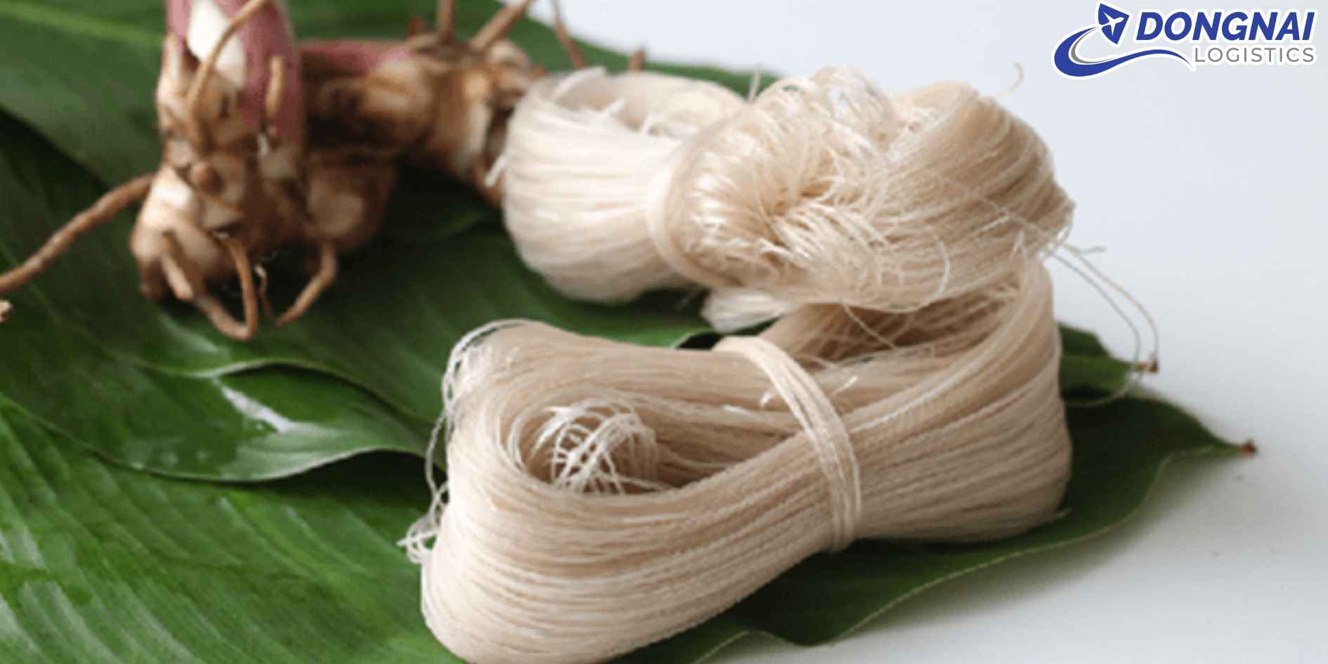 Gửi Miến Dong Từ Việt Nam Sang Hàn Quốc – Giữ Trọn Hương Vị Truyền Thống Quê Nhà