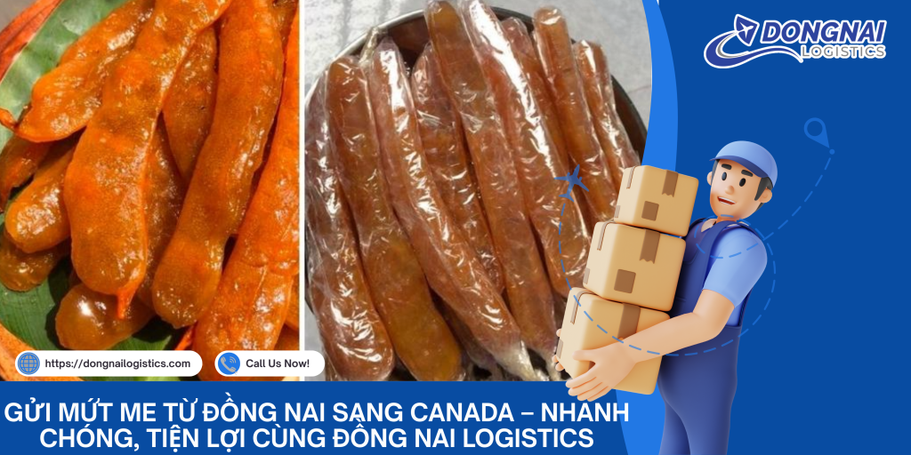 Gửi Mứt Me Từ Đồng Nai Sang Canada – Nhanh Chóng, Tiện Lợi Cùng Đồng Nai Logistics