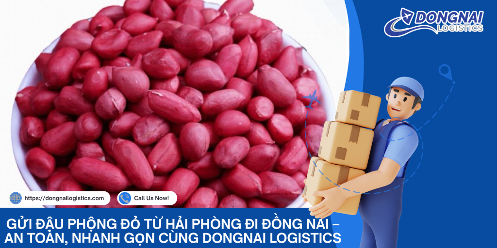 Gửi Đậu Phộng Đỏ Từ Hải Phòng Đi Đồng Nai – An Toàn, Nhanh Gọn Cùng DongNai Logistics