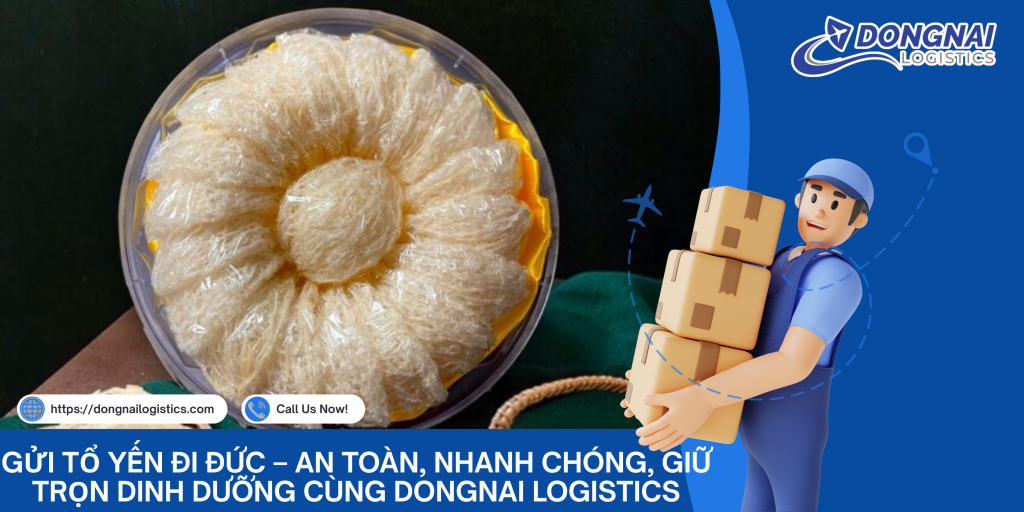 Gửi Tổ Yến Đi Đức – An Toàn, Nhanh Chóng, Giữ Trọn Dinh Dưỡng Cùng DongNai Logistics