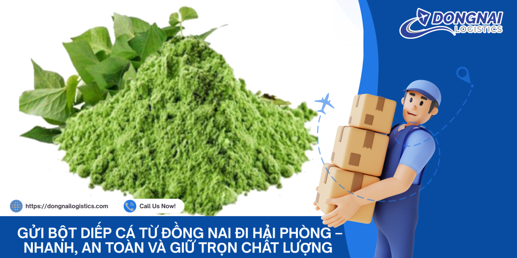 Gửi Bột Diếp Cá Từ Đồng Nai Đi Hải Phòng – Nhanh, An Toàn Và Giữ Trọn Chất Lượng Cùng DongNai Logistics