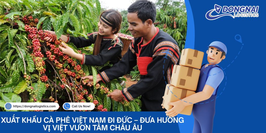Xuất Khẩu Cà Phê Việt Nam Đi Đức – Đưa Hương Vị Việt Vươn Tầm Châu Âu Cùng DongNai Logistics
