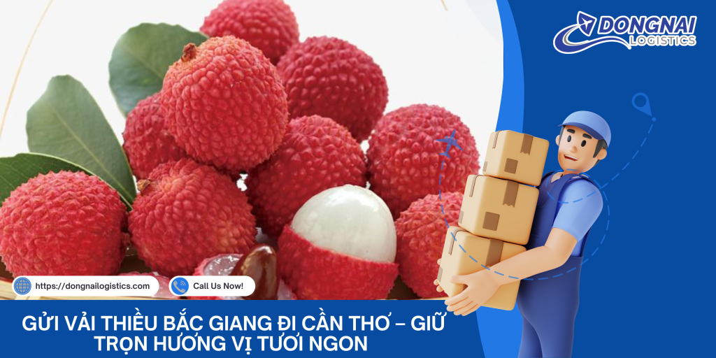 Gửi Vải Thiều Bắc Giang Đi Cần Thơ – Giữ Trọn Hương Vị Tươi Ngon Cùng DongNai Logistics
