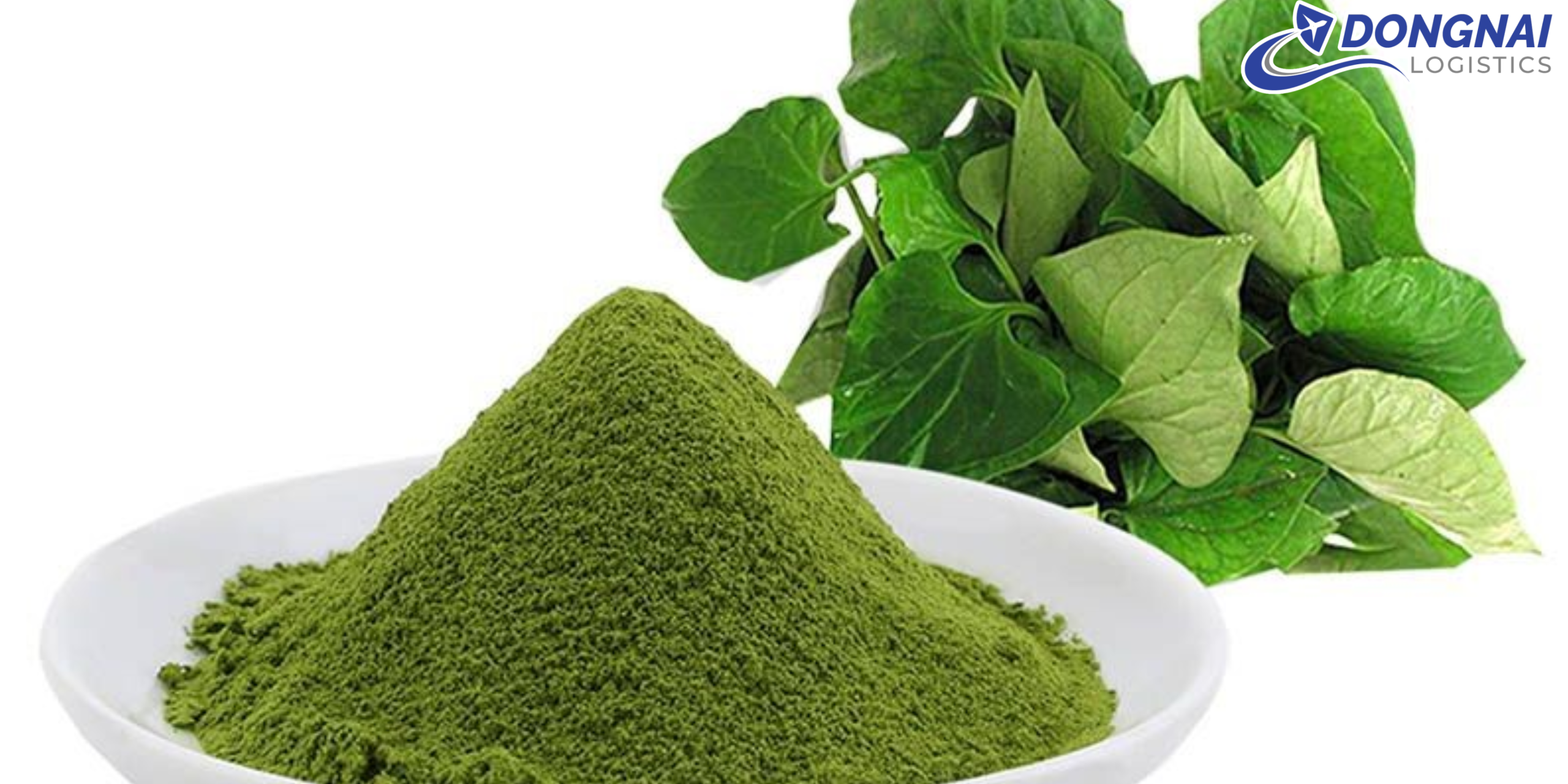 Gửi Bột Diếp Cá Từ Đồng Nai Đi Hải Phòng – Nhanh, An Toàn Và Giữ Trọn Chất Lượng Cùng DongNai Logistics