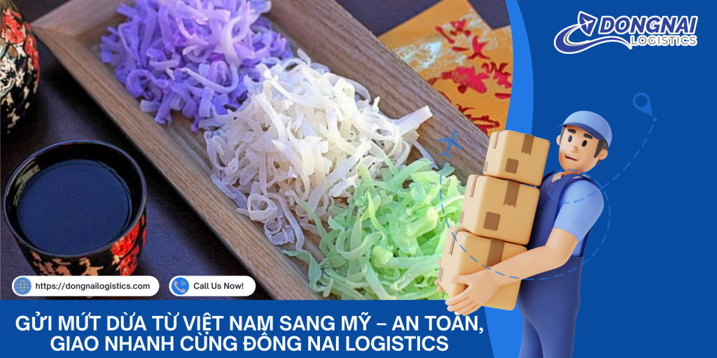 Gửi Mứt Dừa Từ Việt Nam Sang Mỹ – An Toàn, Giao Nhanh Cùng Đồng Nai Logistics