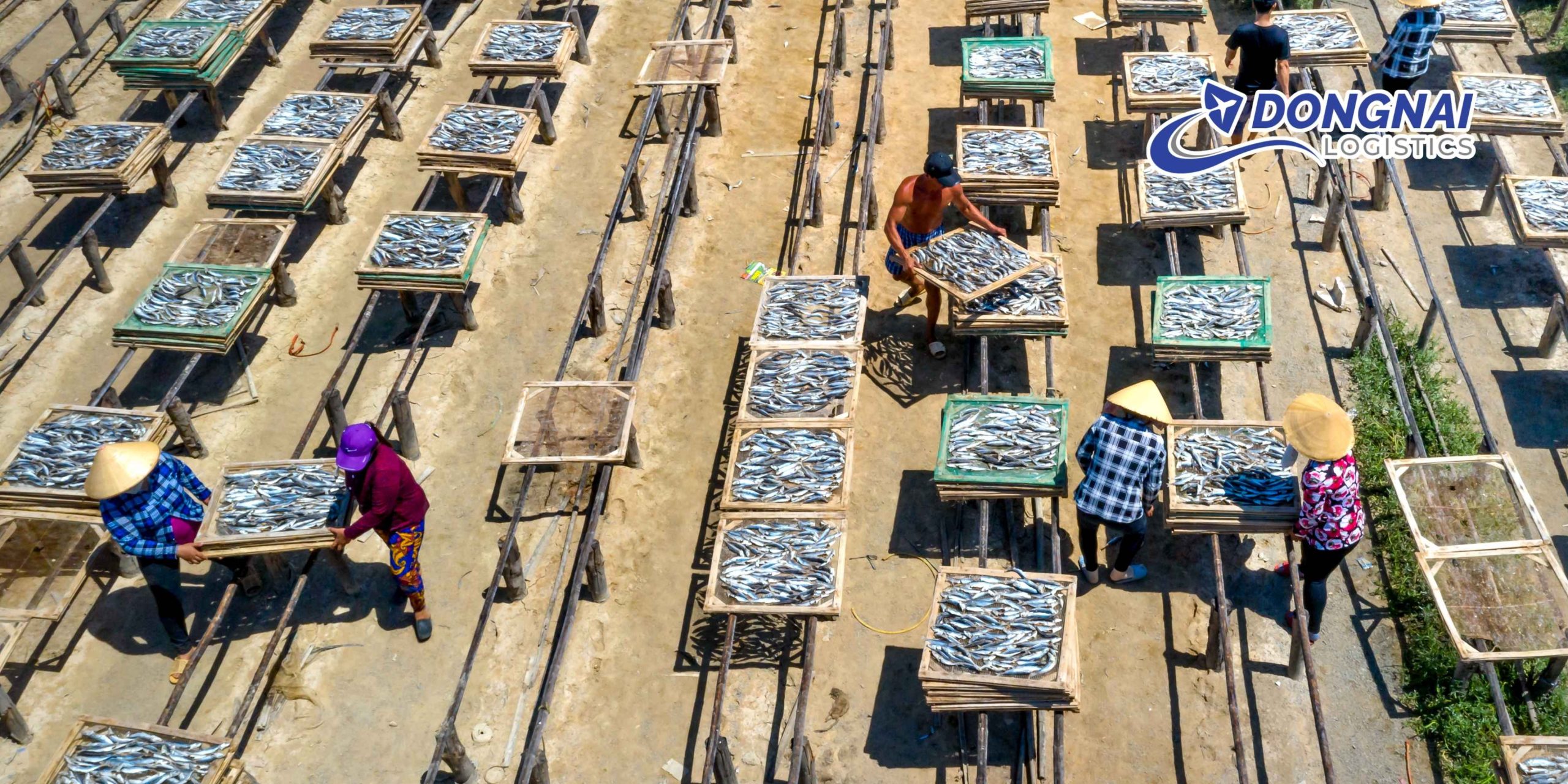 Quy định hải quan châu Âu đối với thực phẩm từ cá