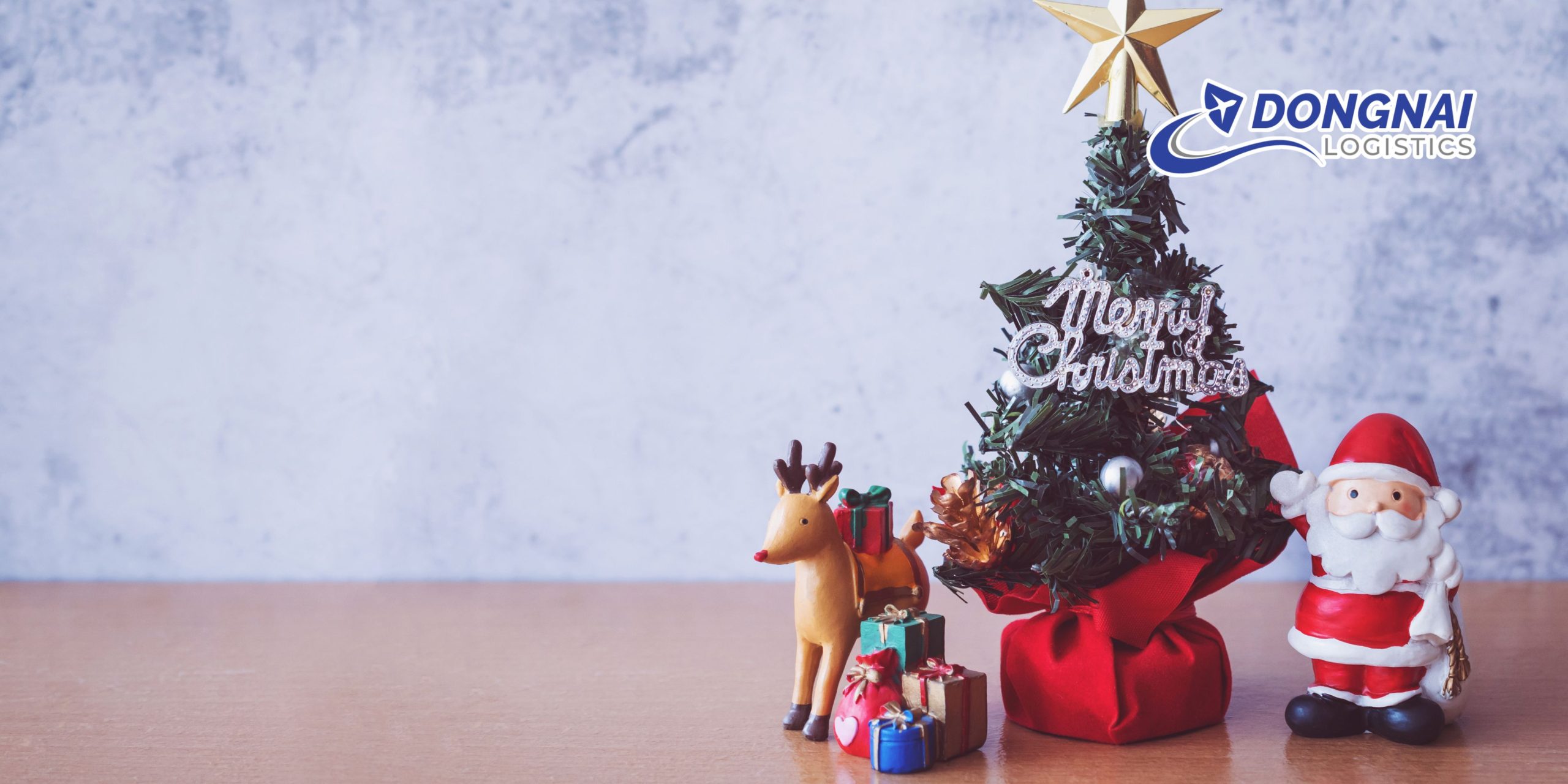 Vận chuyển cây thông mini từ Trung Quốc về Việt Nam – Hướng dẫn chi tiết và đầy đủ