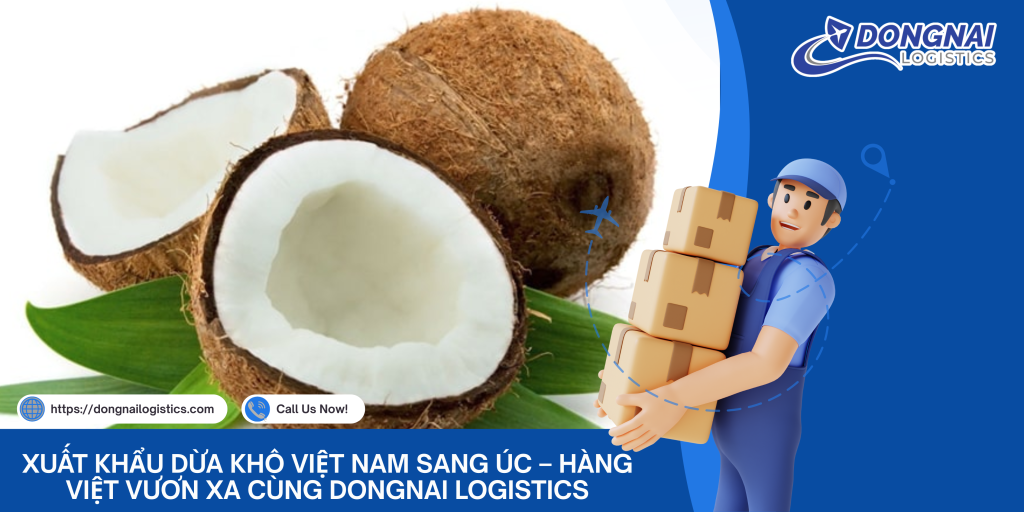 Xuất Khẩu Dừa Khô Việt Nam Sang Úc – Hàng Việt Vươn Xa Cùng DongNai Logistics