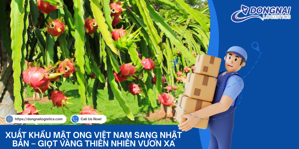 Xuất Khẩu Thanh Long Việt Nam Sang Hàn Quốc – Hành Trình Trái Cây Việt Vươn Xa