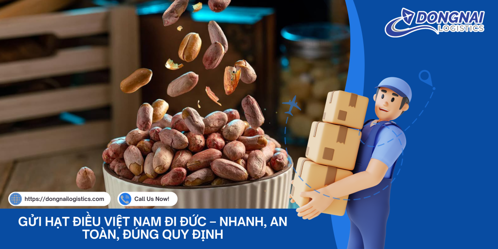 Gửi Hạt Điều Việt Nam Đi Đức – Nhanh, An Toàn, Đúng Quy Định