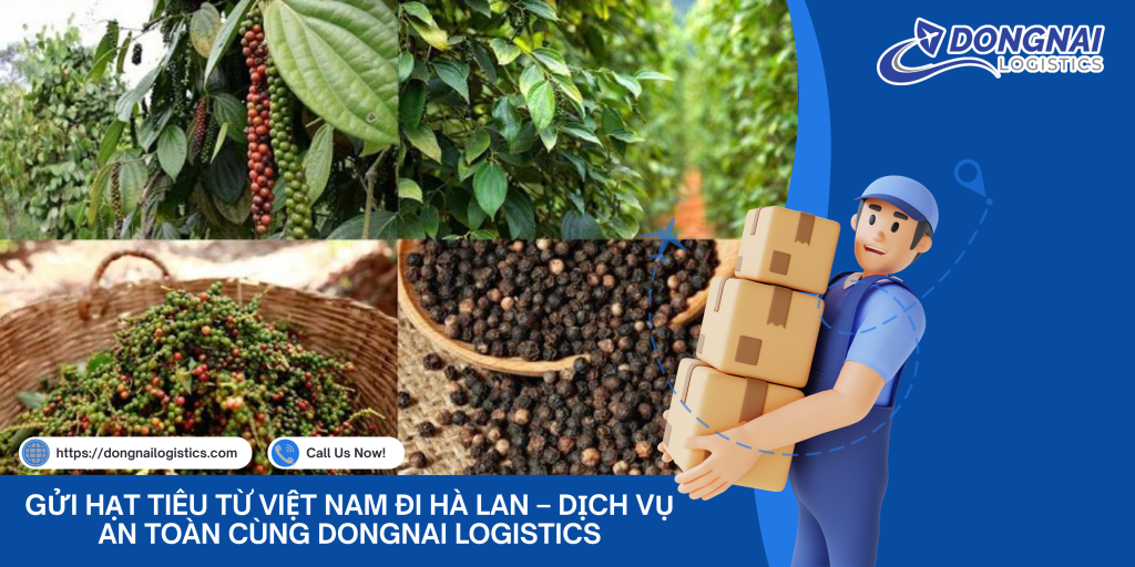 GỬI HẠT TIÊU TỪ VIỆT NAM ĐI HÀ LAN – DỊCH VỤ AN TOÀN CÙNG DONGNAI LOGISTICS