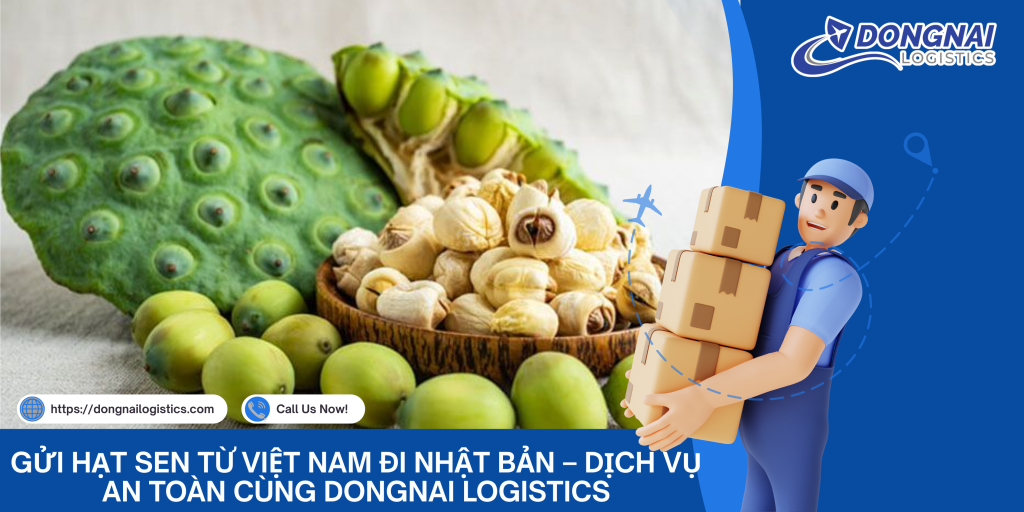 GỬI HẠT SEN TỪ VIỆT NAM ĐI NHẬT BẢN – DỊCH VỤ AN TOÀN CÙNG DONGNAI LOGISTICS