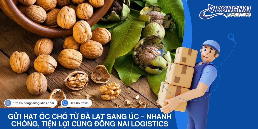 Gửi Hạt Óc Chó Từ Đà Lạt Sang Úc – Nhanh Chóng, Tiện Lợi Cùng Đồng Nai Logistics