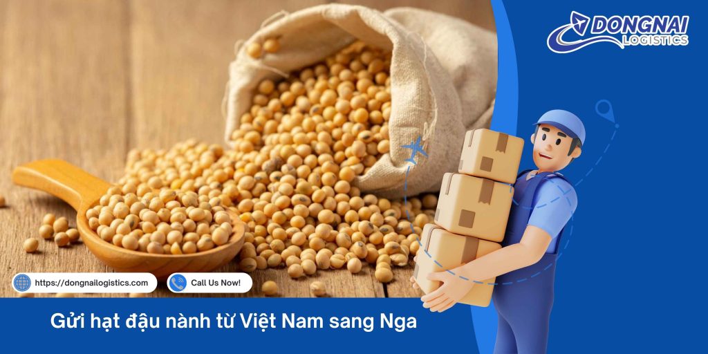 Gửi hạt đậu nành từ Việt Nam sang Nga – Giải pháp vận chuyển chuẩn quốc tế