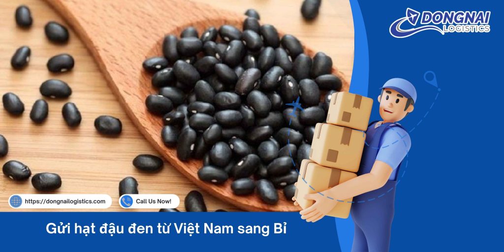 Gửi hạt đậu đen từ Việt Nam sang Bỉ – Giải pháp vận chuyển chuẩn quốc tế