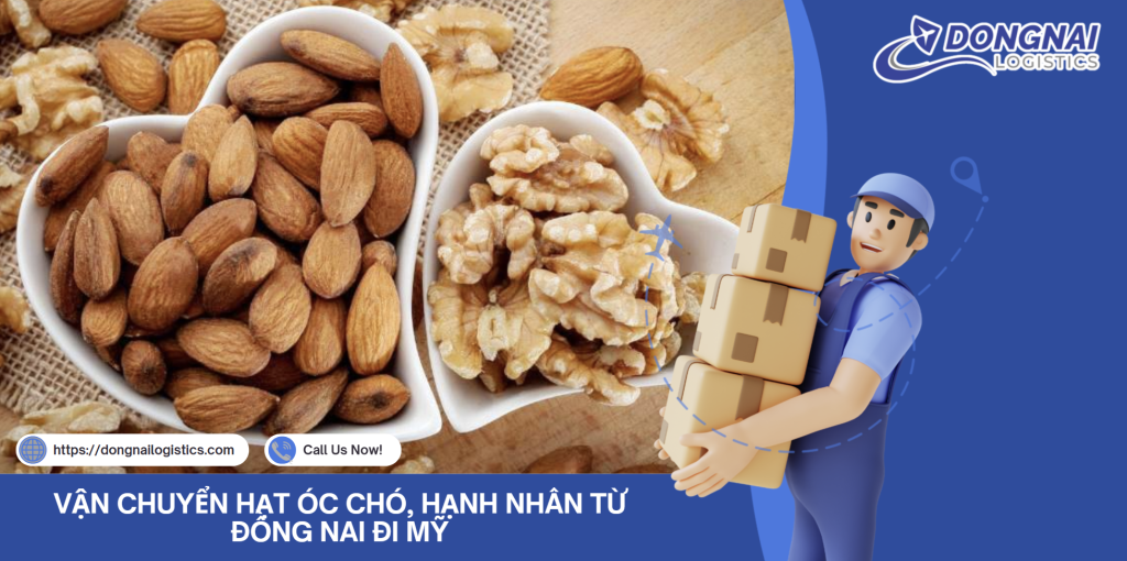 VẬN CHUYỂN HẠT ÓC CHÓ, HẠNH NHÂN TỪ ĐỒNG NAI ĐI MỸ