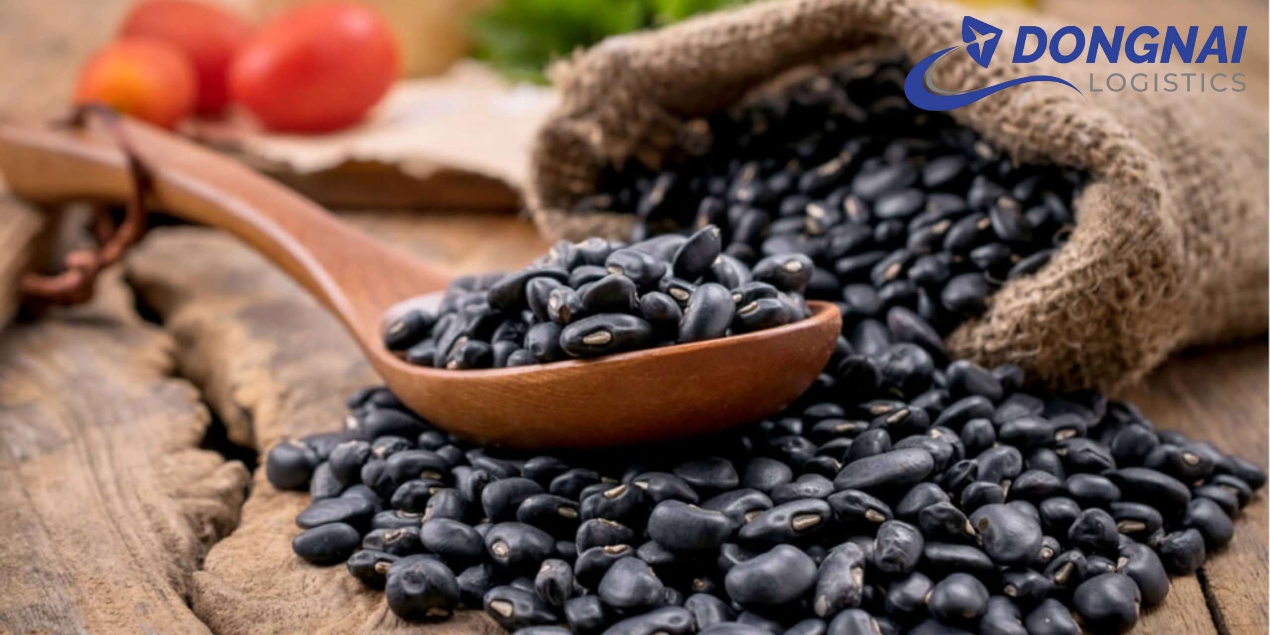 Gửi hạt đậu đen từ Việt Nam sang Bỉ – Giải pháp vận chuyển chuẩn quốc tế