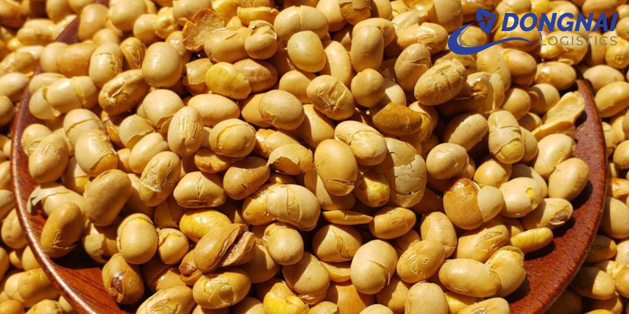 Gửi hạt đậu nành từ Việt Nam sang Nga – Giải pháp vận chuyển chuẩn quốc tế