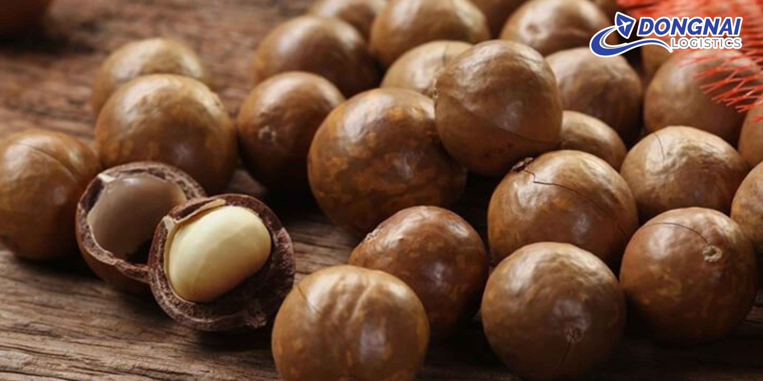GỬI HẠT MACCA TỪ VIỆT NAM ĐI ĐỨC - GIẢI PHÁP VẬN CHUYỂN AN TOÀN, NHANH GỌN CÙNG DONGNAI LOGISTICS