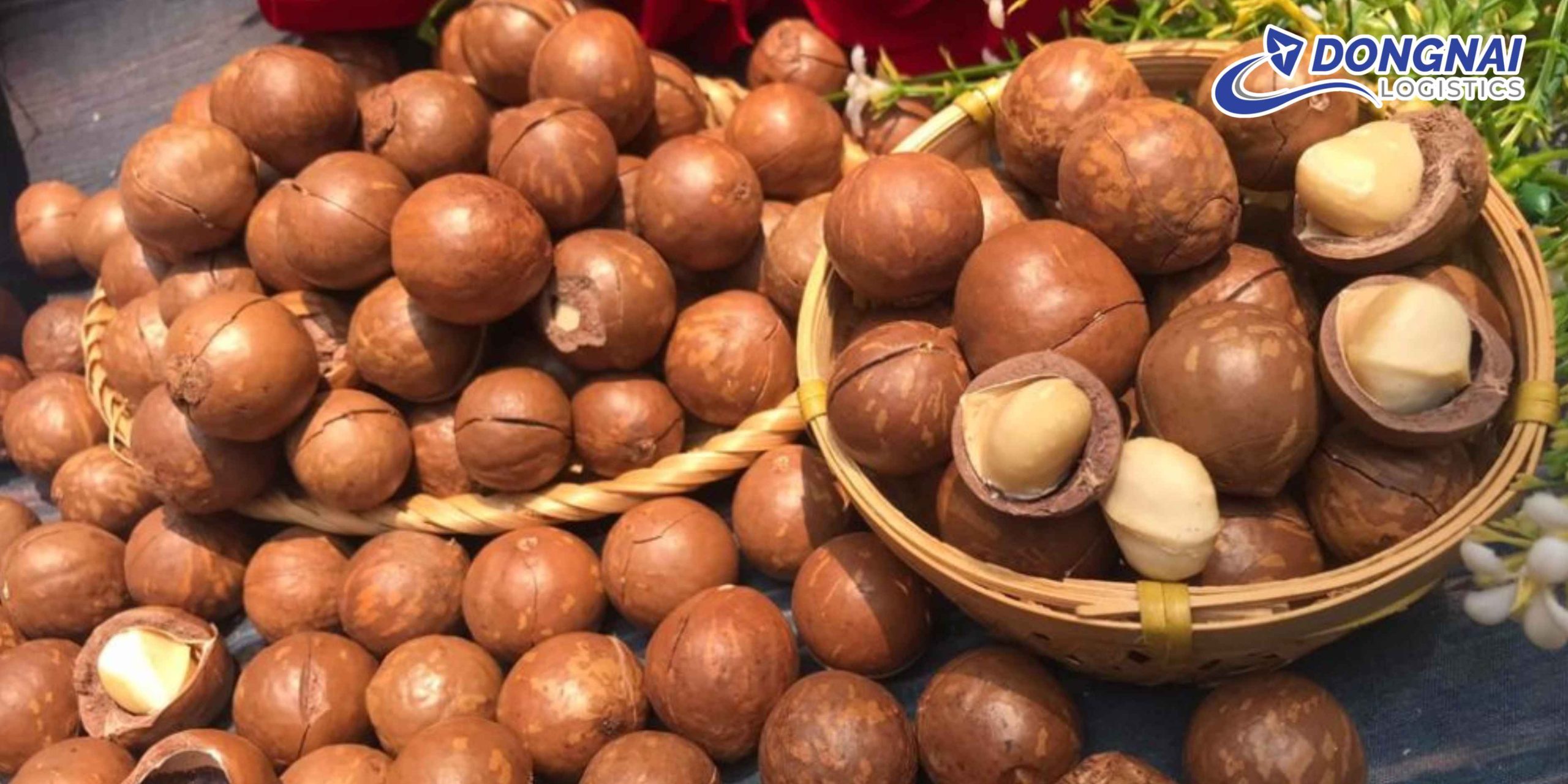 GỬI HẠT MACCA TỪ VIỆT NAM ĐI ĐỨC - GIẢI PHÁP VẬN CHUYỂN AN TOÀN, NHANH GỌN CÙNG DONGNAI LOGISTICS