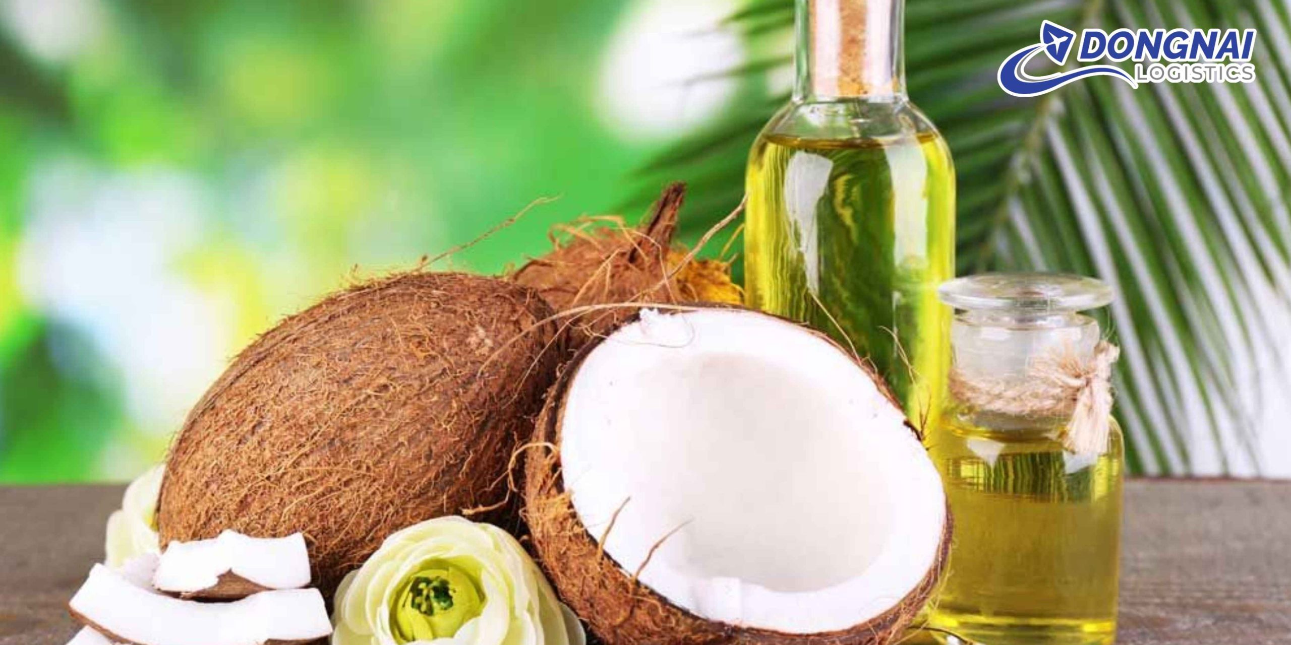 GỬI DẦU DỪA TỪ VIỆT NAM ĐI MỸ – GIỮ TRỌN ĐỘ NGUYÊN CHẤT CÙNG DONGNAI LOGISTICS