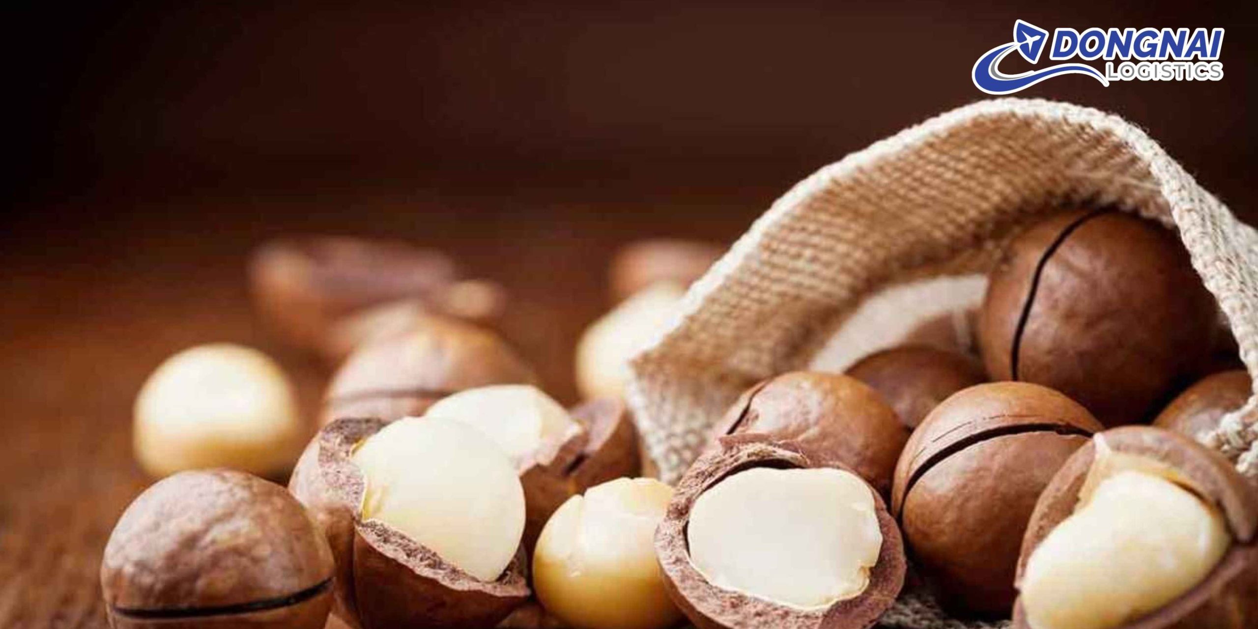 GỬI HẠT MACCA TỪ VIỆT NAM ĐI ĐỨC - GIẢI PHÁP VẬN CHUYỂN AN TOÀN, NHANH GỌN CÙNG DONGNAI LOGISTICS