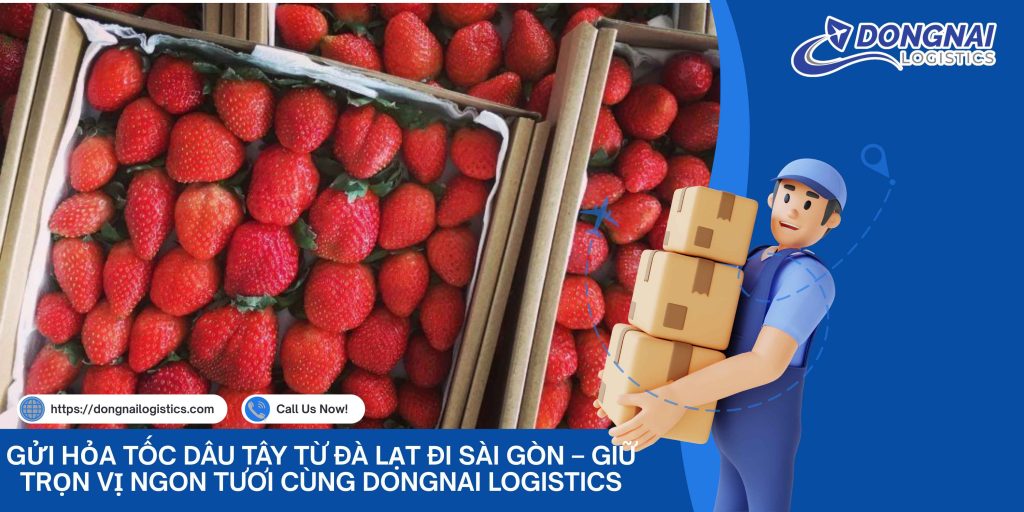Gửi Hỏa Tốc Dâu Tây Từ Đà Lạt Đi Sài Gòn – Giữ Trọn Vị Ngon Tươi Cùng DongNai Logistics