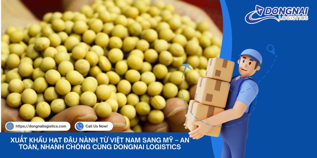 XUẤT KHẨU HẠT ĐẬU NÀNH TỪ VIỆT NAM SANG MỸ - AN TOÀN, NHANH CHÓNG CÙNG DONGNAI LOGISTICS