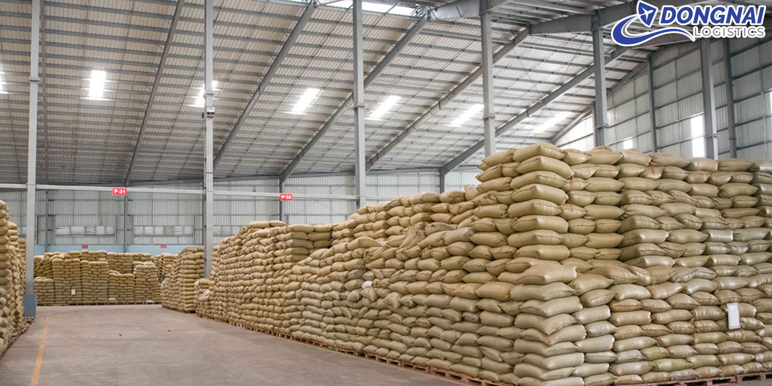 XUẤT KHẨU HẠT ĐẬU NÀNH TỪ VIỆT NAM SANG MỸ - AN TOÀN, NHANH CHÓNG CÙNG DONGNAI LOGISTICS