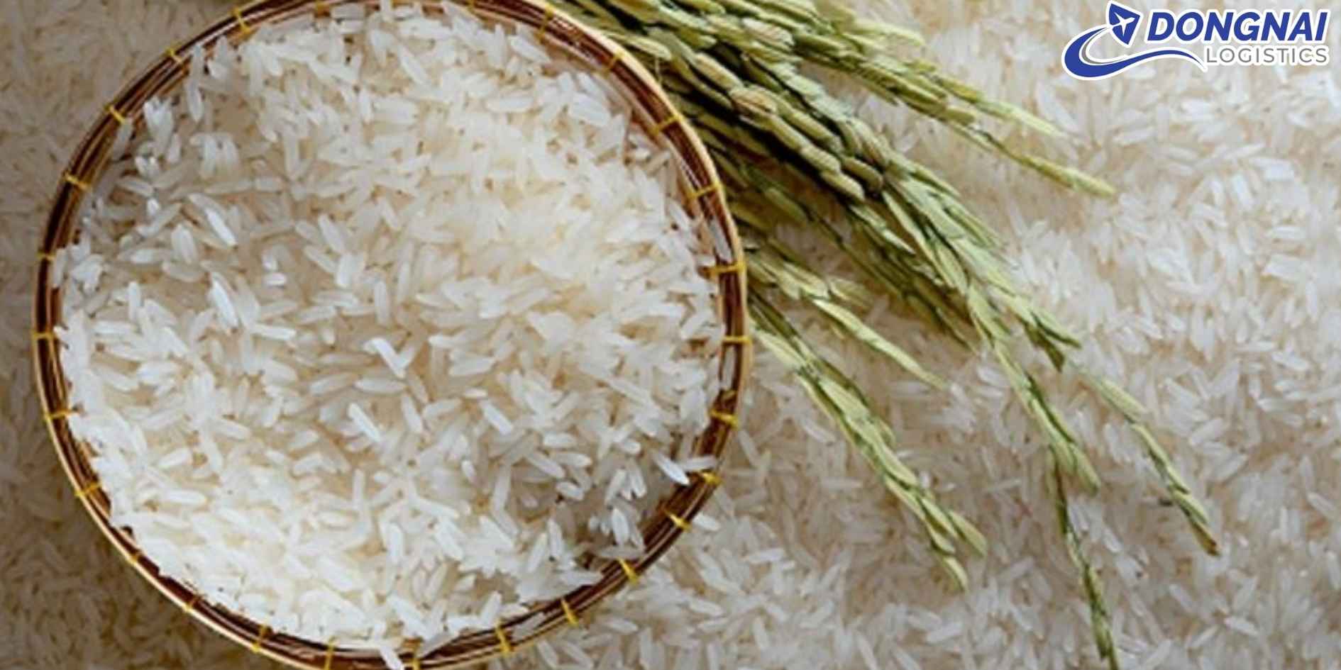 Vận Chuyển Gạo ST25 Đồng Tháp Sang Singapore - Bảo Đảm Hạt Gạo Thơm Ngon