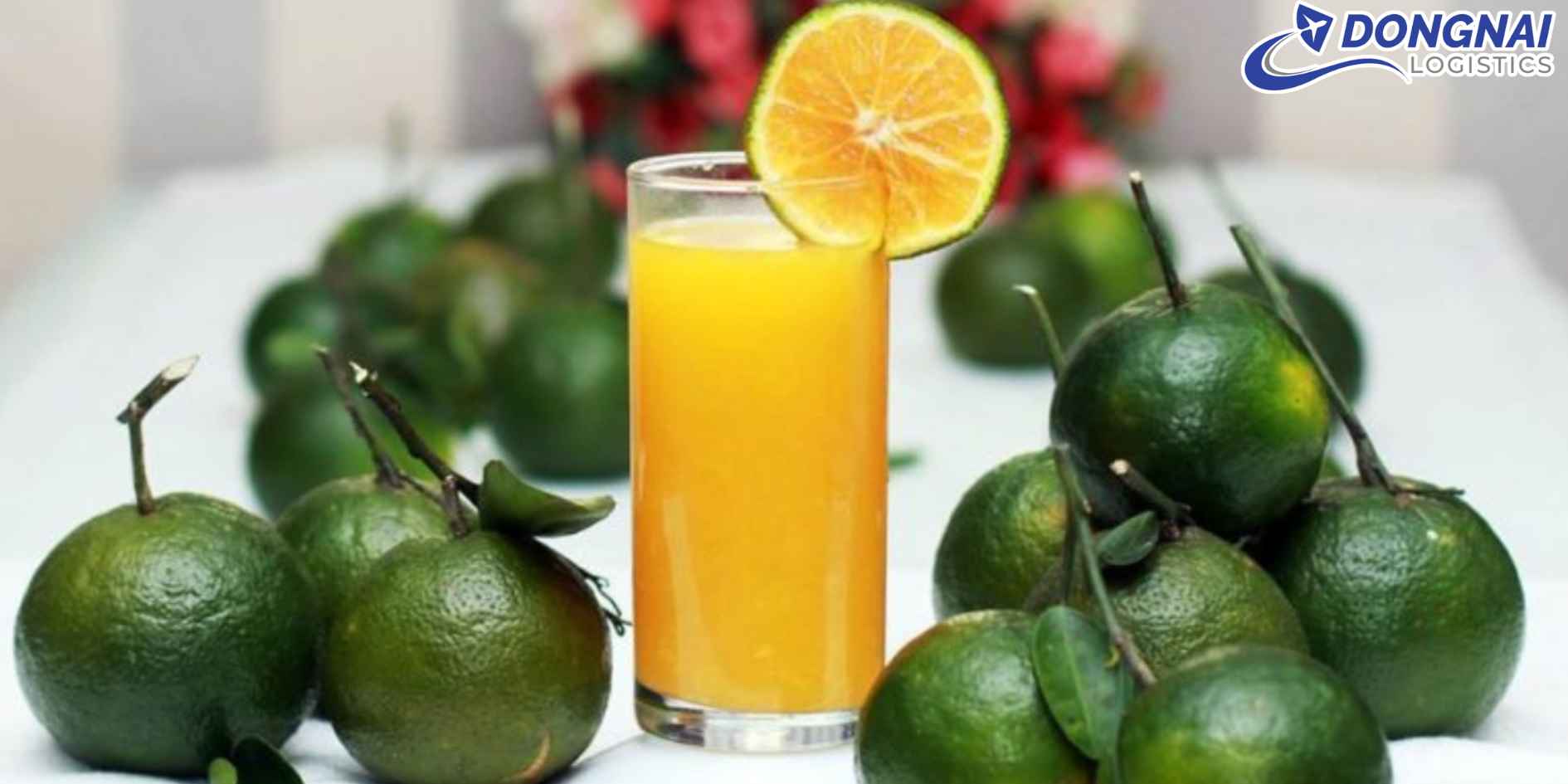 Vận Chuyển Cam Sành Vĩnh Long Ra Hà Nội – Giữ Trọn Hương Vị Miền Sông Nước